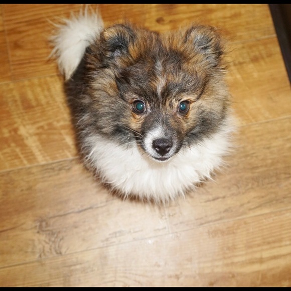 Hello everyone! 👋 - Picture 6 of 6